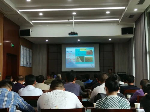 計(jì)算機(jī)技術(shù)培訓(xùn)大會(huì) 小島上的智慧碰撞與未來展望